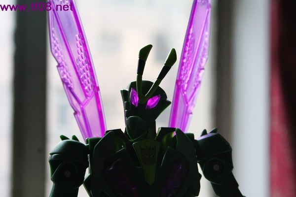 Animated Samurai Prowl Waspinator  (16 of 21)